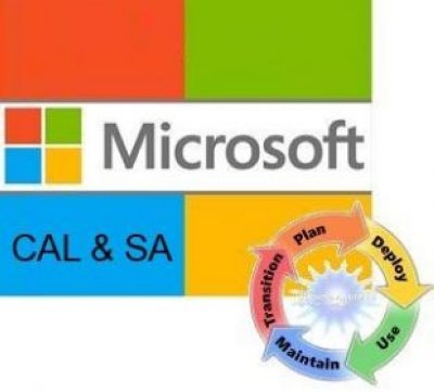   Microsoft Windows Server CAL Sngl LicSAPk OLV NL 1Y AqY1 AP Device CAL