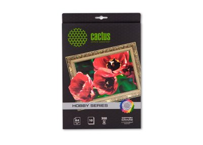       Cactus (CS- A426010) A4, 300 / 2, 10 