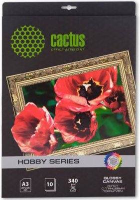     c   Cactus CS- GA326010, A3, 340 / 2, 10 