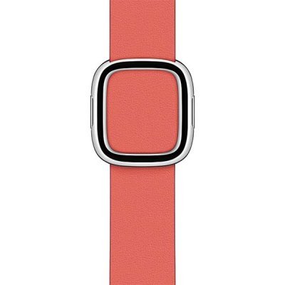    Apple 40mm Pink Citrus Modern Buckle Small (MY602ZM/A)