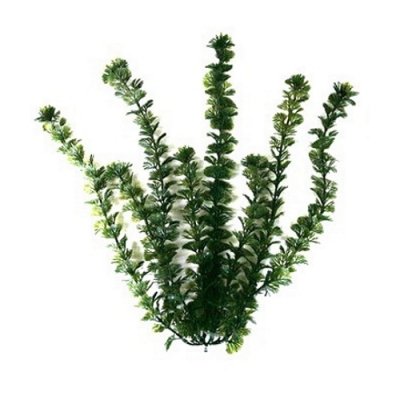      Tetra DecoArt Plant  XXS (Green Cabomba XXS) 5 