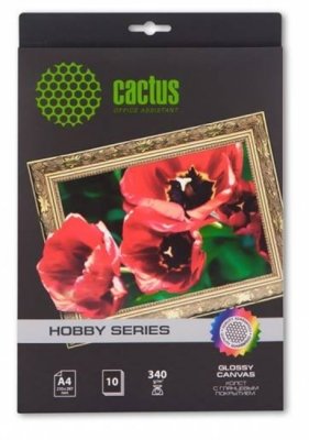        Cactus CS- GA426010, A4, 340 / 2, 10 