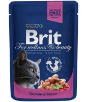      Brit Premium Salmon & Trout      100 
