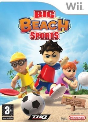     Nintendo Wii Big Beach Sports