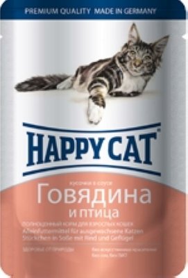   100  happy cat 100          () ()