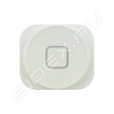    Home  Apple iPhone 5 (R0000246) ()