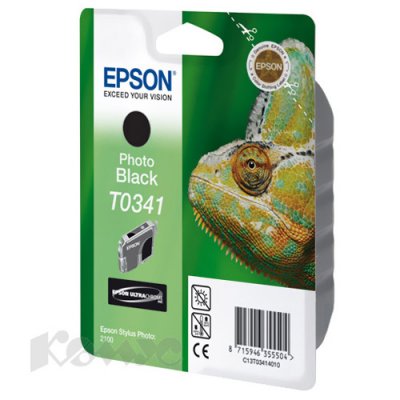     Epson Stylus Photo 2100 (C13T03414010 T0341) ( )