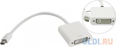    mini DisplayPort - DVI M-F 5bites AP-017