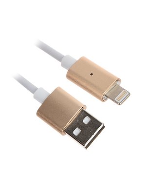    Activ USB - Lightning Magnetic 100cm Gold 58475