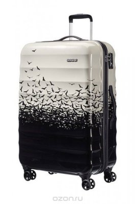    American Tourister "Palm Valley", : , , 88,5 . 02G*89103