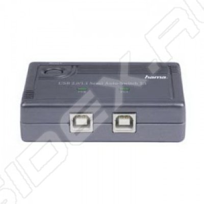    Hama H-42041 USB 2.0,  (00042041) ()