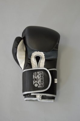    Bad Boy Pro Series Training Glove (, 14-OZ)