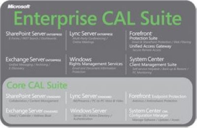    Microsoft Enterprise CAL AllLng LicSAPk OLV NL 1Y PlatformUTD UsrCAL wSrvcs