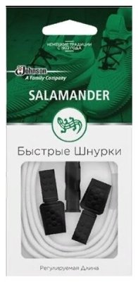      Salamander   