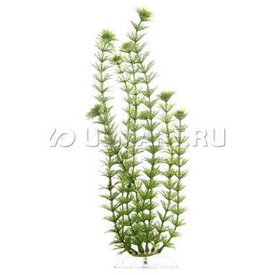    TETRA DecoArt Plant  L (Ambulia L) 30 