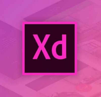      Adobe XD for enterprise 1 User Level 4 100+,  12 .