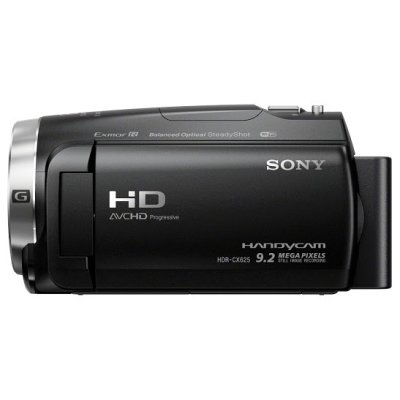 Товар почтой Sony HDR-CX625 (черный)