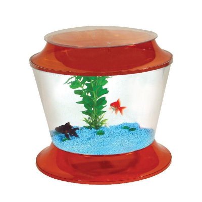    AA-Aquariums Gold Fish bowl 17  