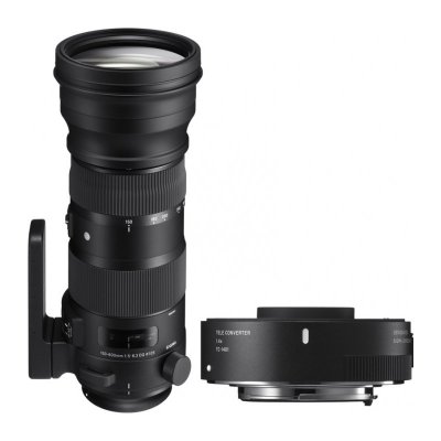   Sigma Canon AF 150-600 mm F/5.0-6.3 DG OS HSM Sports +  TC-1401
