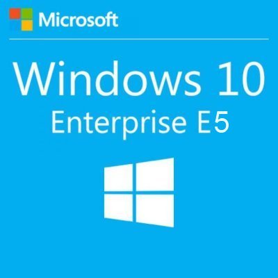     Microsoft Windows 10 Enterprise E5 Corporate,    Pro (