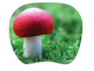      PC PET MP-TOM TURBO (Mushroom)