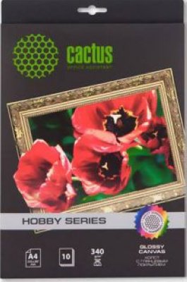    Cactus CS-CGA426010