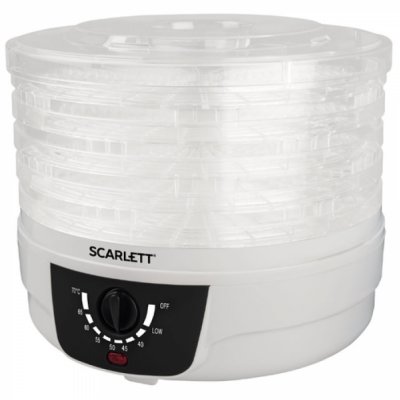          Scarlett SC-FD421004 38576