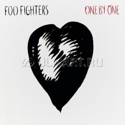     FOO FIGHTERS "ONE BY ONE", 2LP