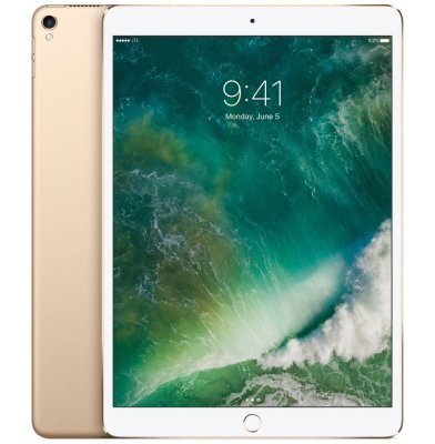    Apple iPad Pro 12.9", 256Gb Wi-Fi + Cellular, Gold (ML2N2RU/A)