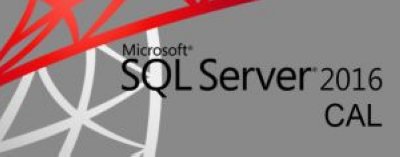     Microsoft SQL CAL 2016 Russian OLP A Gov Device CAL