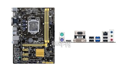   Intel   ASUS H81M-PLUS