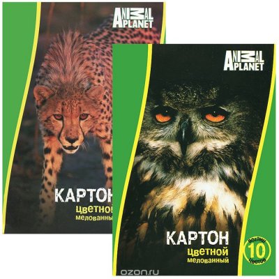     .  ACTION ANIMAL PLANET, . A4, 10 ,10 (8 .+  