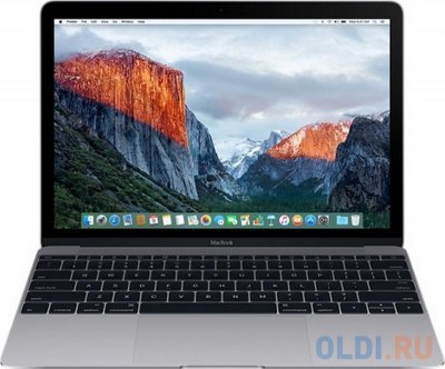    Apple MacBook 12" Retina dual-core M 1.2GHz/8GB/512GB flash/HD Graphics 5300/Mac OS/Space Gr