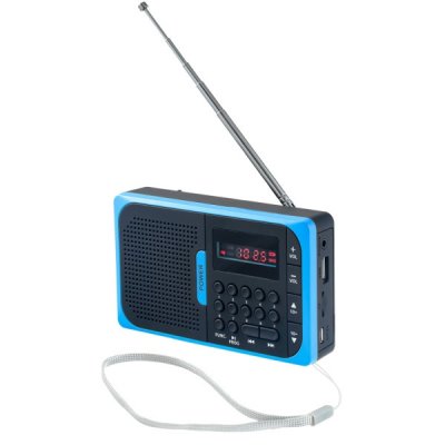    Perfeo Sound Voyager PF-SV521-OR + FM MP3