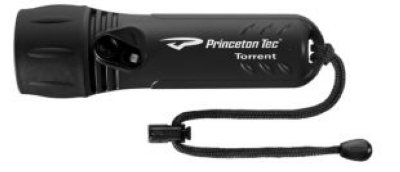   Princeton Tec TORRENT LED BLACK  C   .   - 126 ,