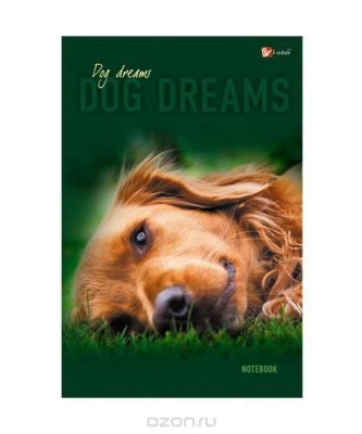      A5 "  (Dog dreams)" 80 .  ,  