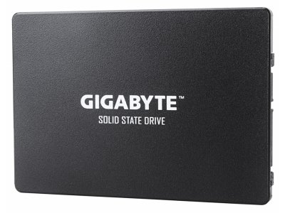     120Gb - GigaByte GP-GSTFS31120GNTD
