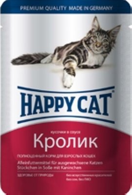   100  happy cat 100       ()