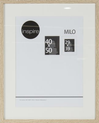    Inspire Milo , 40x50 ,  