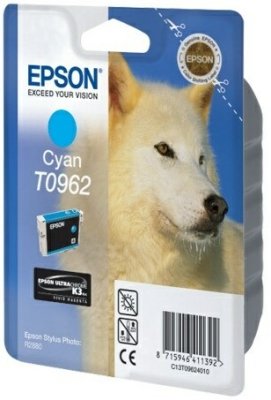   T096240   Epson (Stylus Photo R2880) 