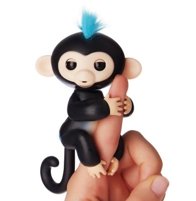    Baby Monkey Black