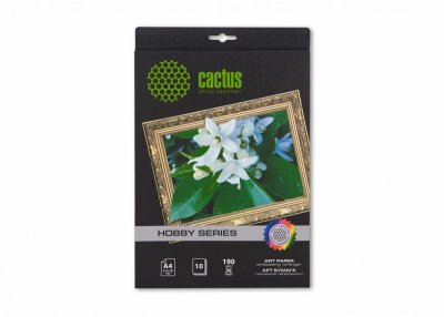    CACTUS CS-DA419010