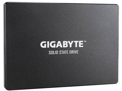     256Gb - GigaByte GP-GSTFS31256GTND