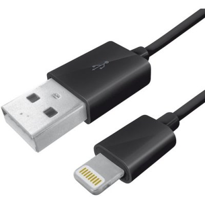     Henca USB to Ligthning  iPhone 5 / iPad 4 / new iPod 2m Black 12168