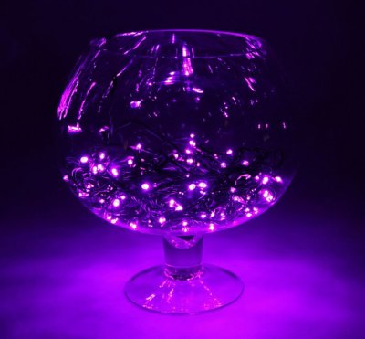    Luazon  10m LED-100-24  Purple 1586006