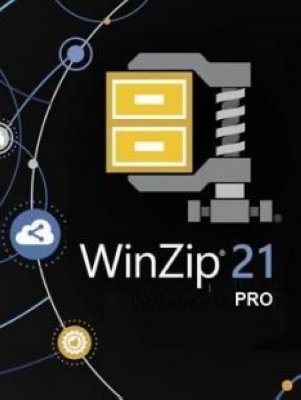   Corel WinZip 21 Pro ML (100-199)