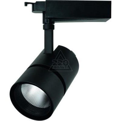     ARTE LAMP A2450PL-1BK