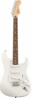   Fender Standard Stratocaster RW Arctic White Tint   - ,  - , 